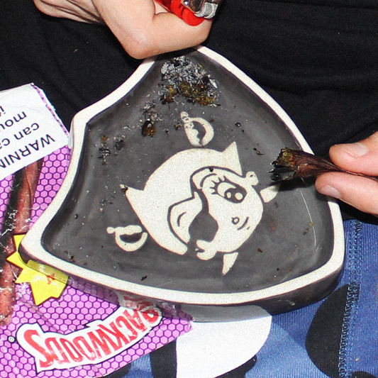 Raiderz Ceramic Ashtray